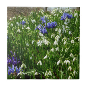 Carreau Paysage des fleurs du début du printemps