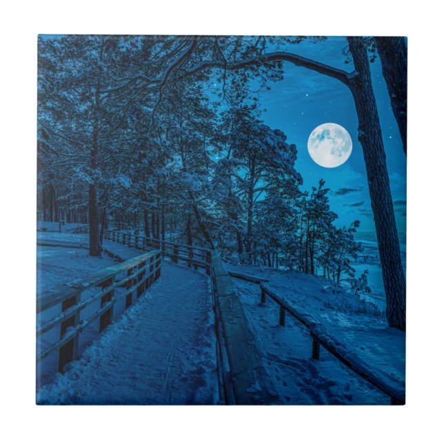 Carreau Paysage d'hiver avec pinède enneigée (Devant)