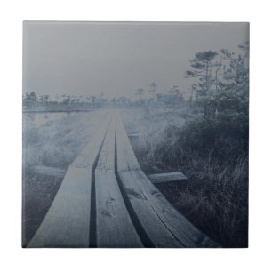 Carreau Paysage du marais