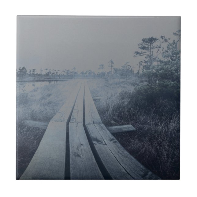 Carreau Paysage du marais (Devant)