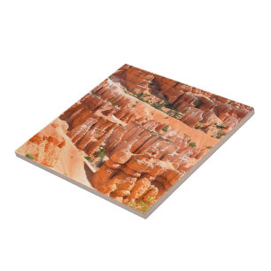 Carreau Paysage du Parc de Bryce Canyon Utah Photo Hoodoos