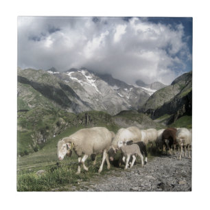 Carreau paysage pyrénéen