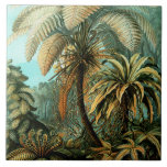 Carreau Paysage tropical avec palmier<br><div class="desc">La 92e assiette de "Kunstformen der Natur" d'Ernst Haeckel (1904),  représentant des organismes classés comme Filicinae.    Source : Kunstformen der Natur (1904),  plaque 92 : Filicinae aux chutes de Tjiburrum près de Tjibodas,  Mont Gede,     JavaPD-US</div>