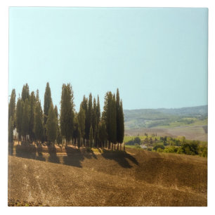 Carreau Paysages typiques pour la province de Sienne en To