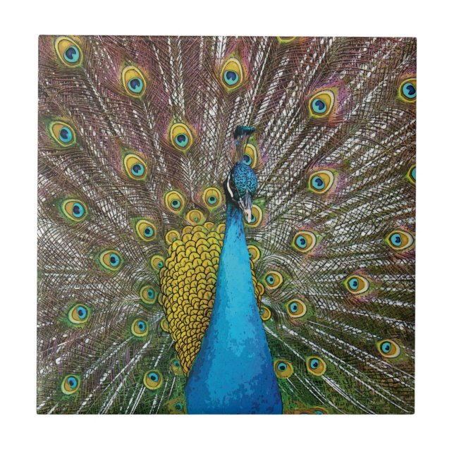Carreau Peacock Art in Jewel Tone Coloris (Devant)