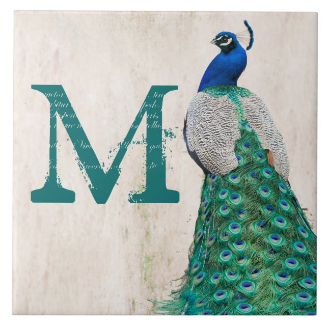 Carreau Peacock Bird Feather Turquoise Monogramme Display  (Devant)