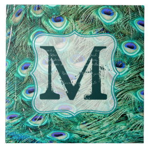 Carreau Peacock Bird Feather Turquoise Monogramme Display 