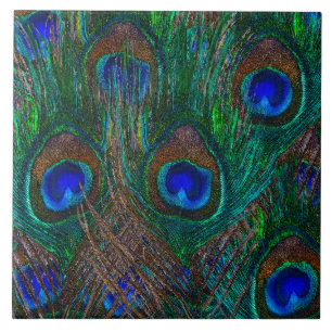 Carreau Peacock Vibrant Plumes Etching Style Décor