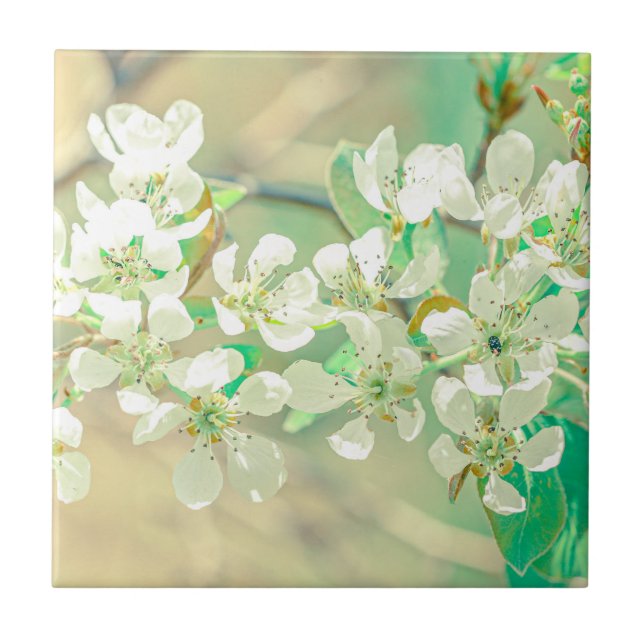 Carreau Pear Tree Spring Vibes positives Feuilles Fleurs (Devant)