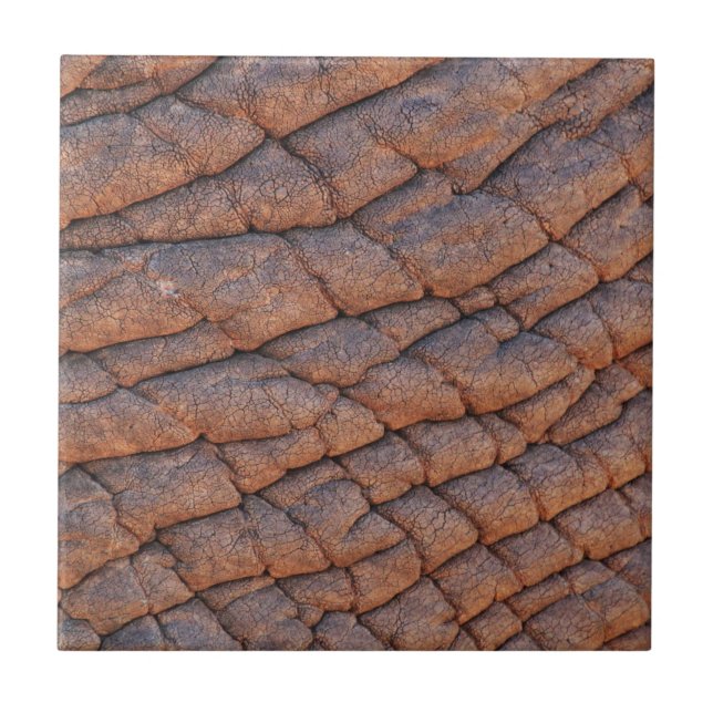 Carreau Peau d'éléphant (Devant)