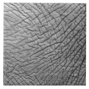 Carreau Peau éléphante