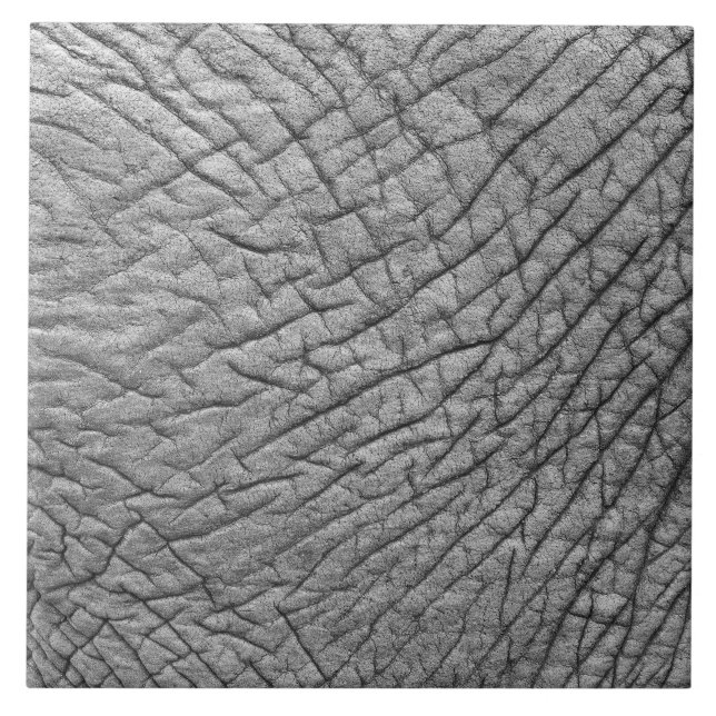 Carreau Peau éléphante (Devant)