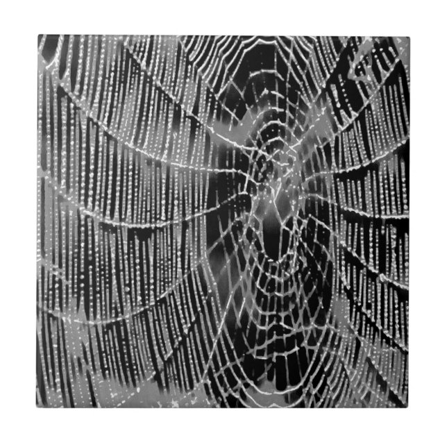 Carreau Peinture Abstraite D'Une Cobweb Blanc Gris Sur Noi (Devant)