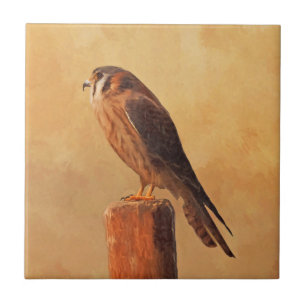 Carreau Peinture américaine Kestrel - Art original pour oi