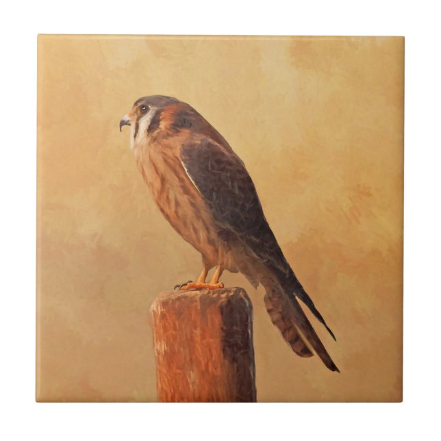 Carreau Peinture américaine Kestrel - Art original pour oi (Devant)