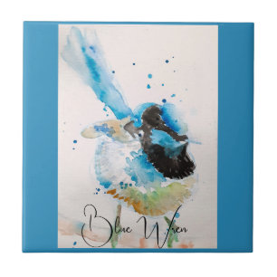 Carreau Peinture aquarelle Troglodyte bleu Oiseaux austral
