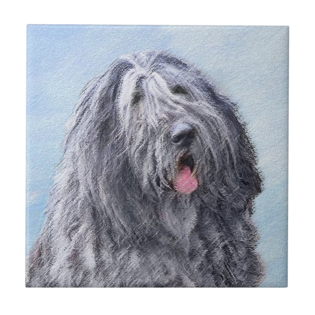 Carreau Peinture Bergamasco Sheepdog - Chien original mign (Devant)