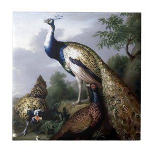 Carreau Peinture de famille d'oiseau de paon