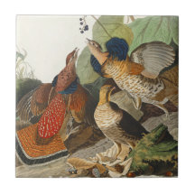 Peinture de la faune Audubon du Groupement rouillé