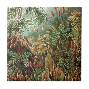 Carreau Peinture de la mousse de Haeckel, de l'herbe et de