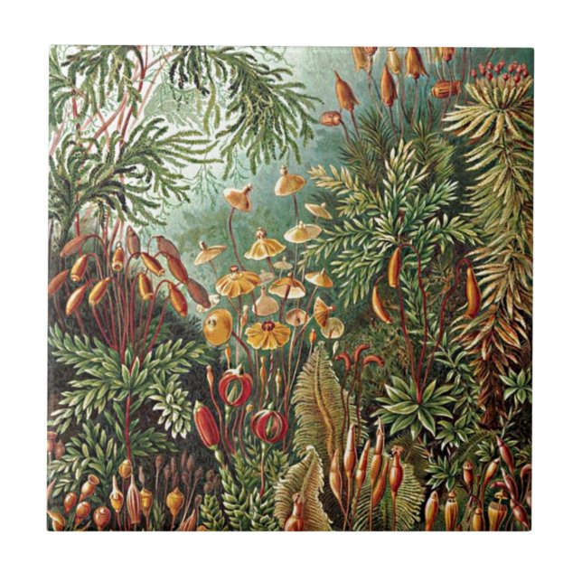 Carreau Peinture de la mousse de Haeckel, de l'herbe et de (Devant)