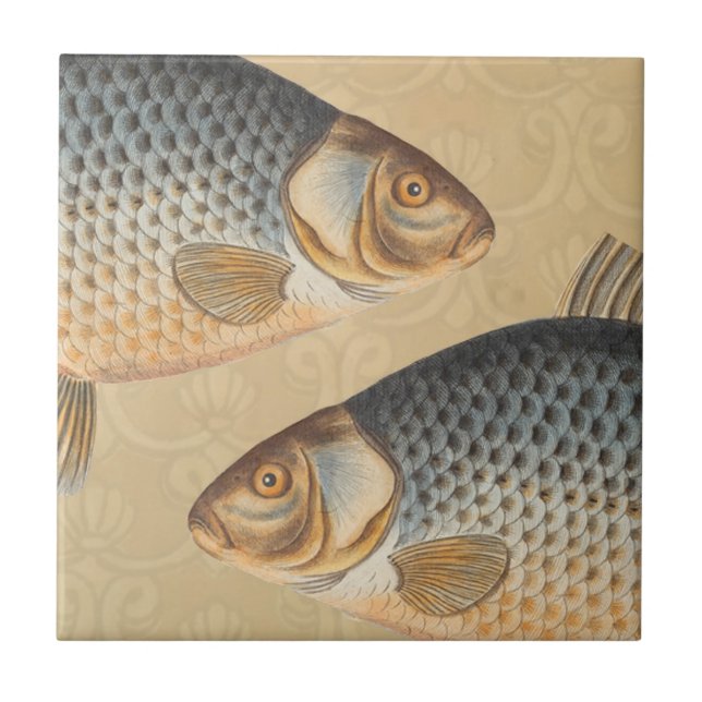 Carreau peinture de pêche de carpe dessin d'eau douce  (Devant)