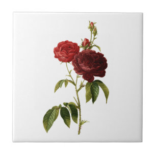Carreau Peinture de roses vintages rouge profond