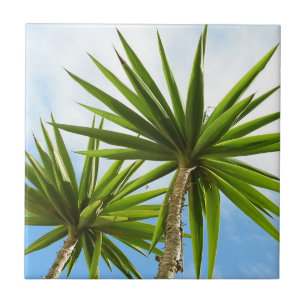 Carreau Peinture Effet Photo de Feuilles de Palmier Yucca