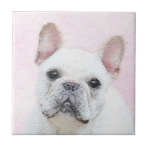Carreau Peinture française de Bulldog (Crème/Blanc) - Ar