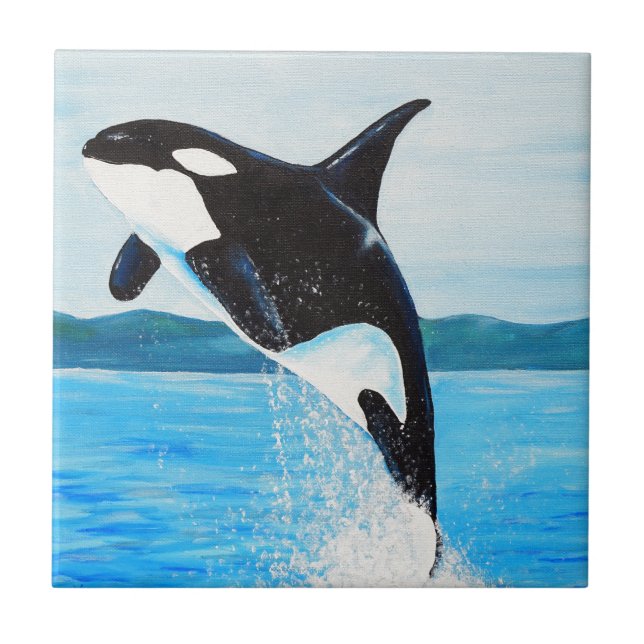 Carreau Peinture Orca (Devant)