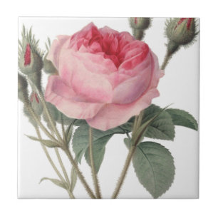 Carreau Peinture vintage rose pâle