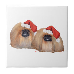 Carreau Pékinois Noël
