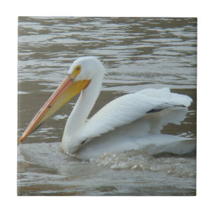 Carreau Pélican blanc B14 sur une rivière boueuse