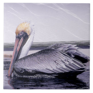 Carreau Pelican Gliding