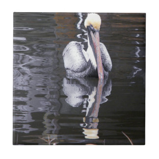 Carreau Pélican, réflexion