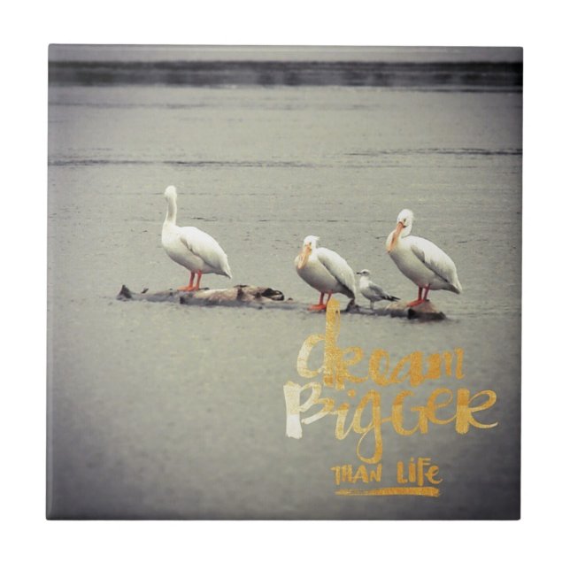 Carreau Pélicans et mouettes rêvent de plus en plus (Devant)