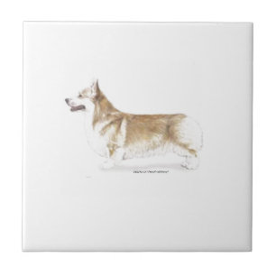 Carreau Pembroke Welsh Corgi