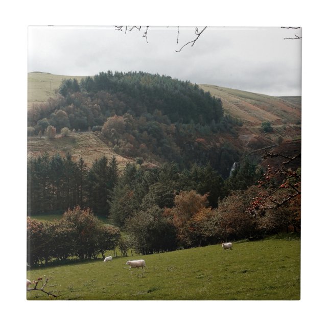 Carreau Pennant Valley Wales (Devant)