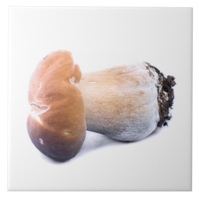 Carreau Penny bun (Devant)