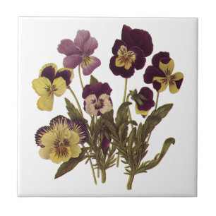 Carreau Pensées vintage en fleurs, fleurs de jardin floral