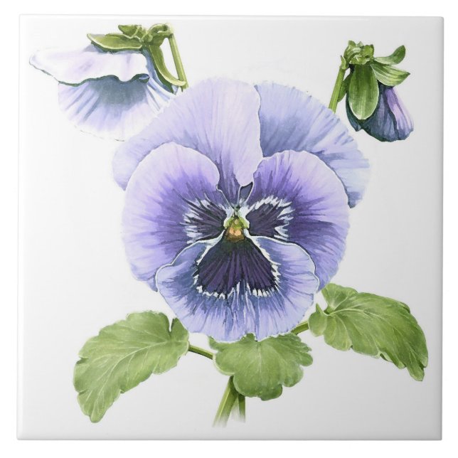 Carreau Pensées Violettes Fleurs Art Botanique (Devant)