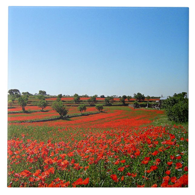 Carreau Pépites en fleurs (Devant)