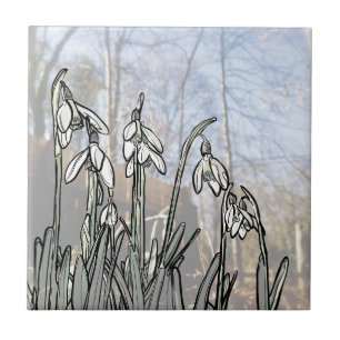 Carreau Perce-neiges