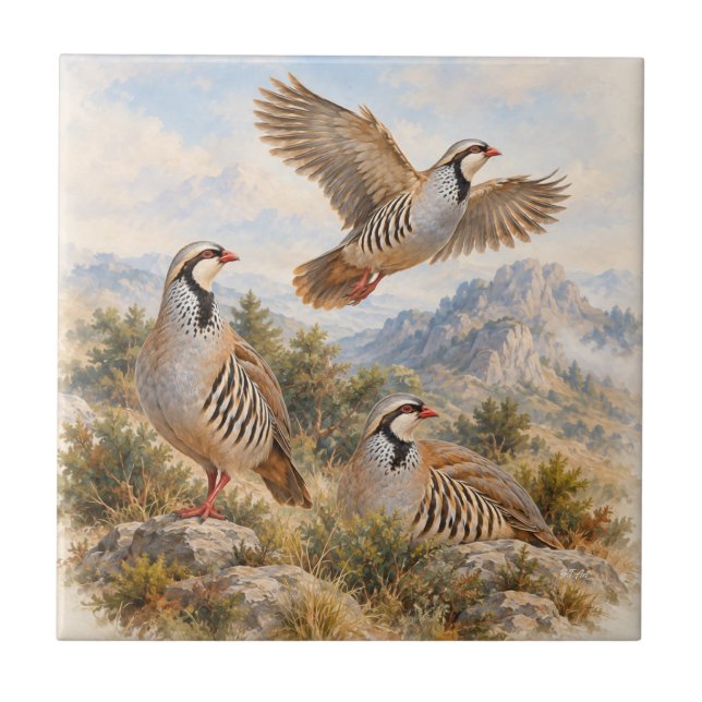 Carreau Perdrix Chukar  Art (Devant)