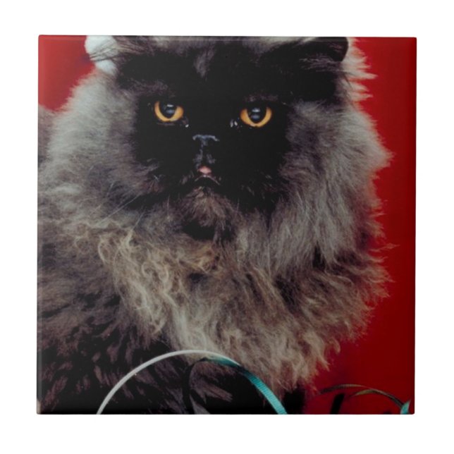 Carreau Père Noël Cat (Devant)