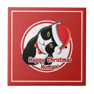 Carreau Père Noël Cat