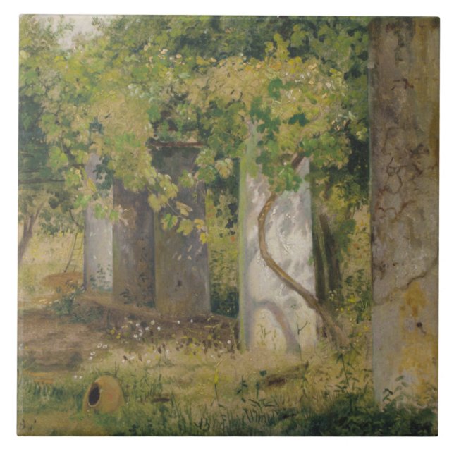 Carreau Pergola Avec Raisins À Vins (Paysage Vignoble) (Devant)