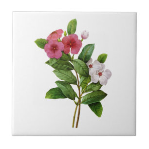 Carreau Périwinkle violet et blanc par Redoute