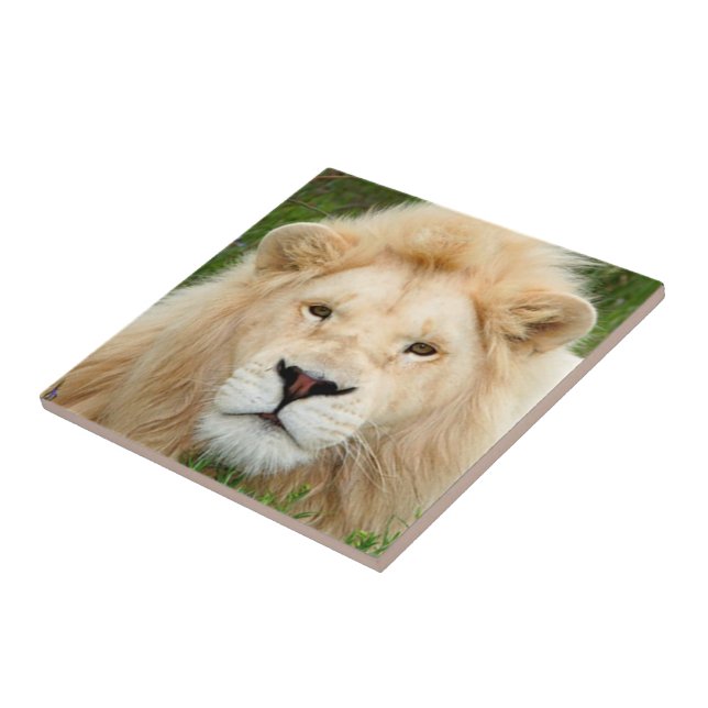 Carreau Perle blonde (Côté)