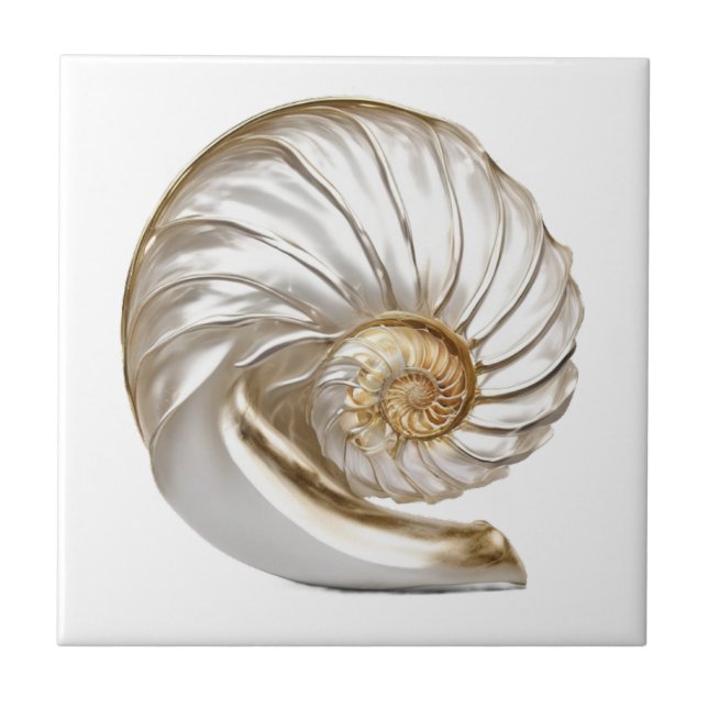 Carreau Perle de coquille de nautile 3D mer plage nautique (Devant)